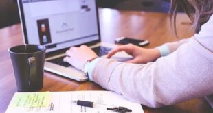 Study and work in Germany